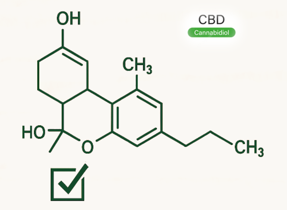 About CBD